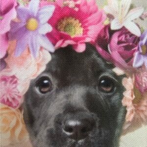 Sophie Gamand Zipper stuff Pouch Flower Power Dog Lover Puppy Girlhood Core cute